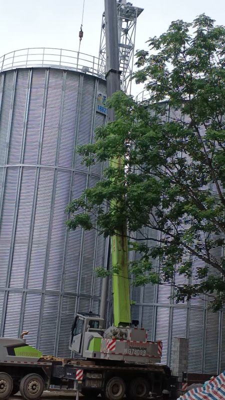 视频实拍
