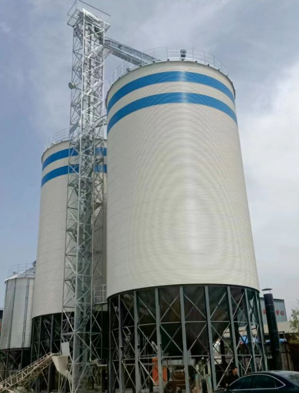 安徽寿县正阳米厂仓储项目